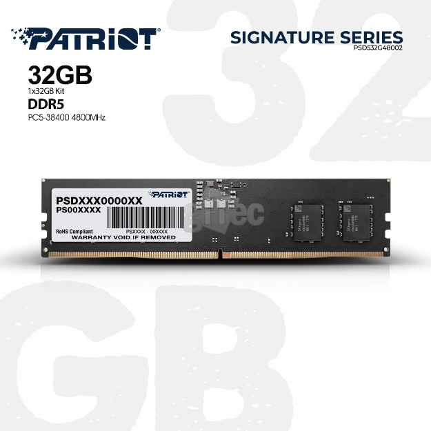 Picture of MEMORY PATRIOT Signature Series PSD532G48002 32GB DDR5 4800Mhz