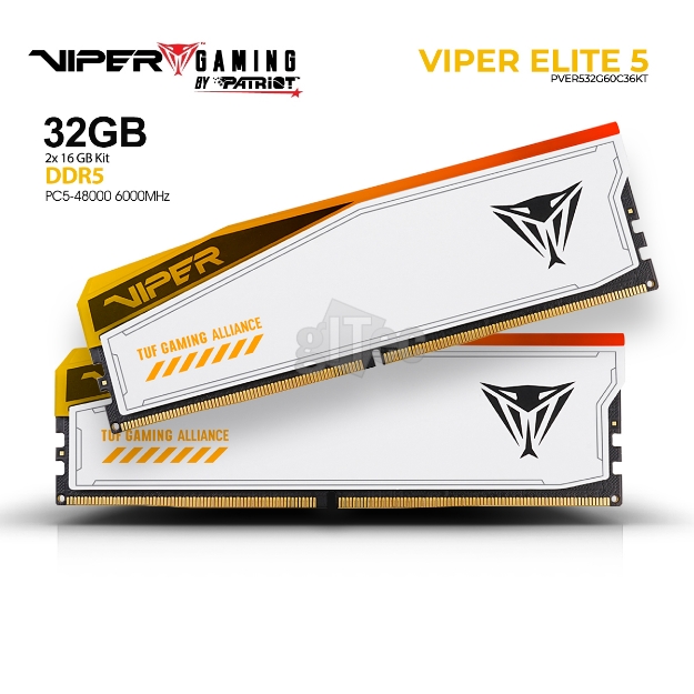 Picture of MEMORI PATRIOT VIPER Elite 5 TUF GAMING RGB PVER532G60C36KT 32GB DDR5 6000Mhz White